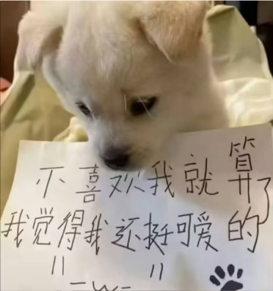 欺负一只毛茸茸笨狗算什么本事