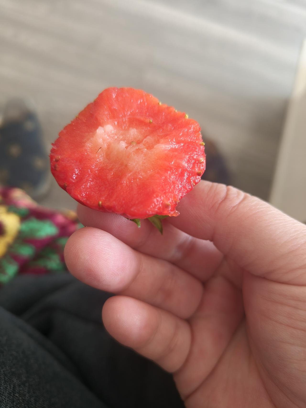 本来不想再说了。但是我觉得有的人是真搞笑。
就是那个婚恋的话题。
我本质说的是怎