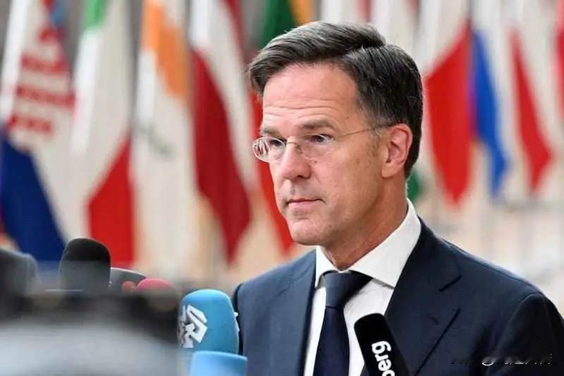 吕特这是在捧美国？怪美国？还是害美国？

北约秘书长吕特表示，美国有能力做到真正