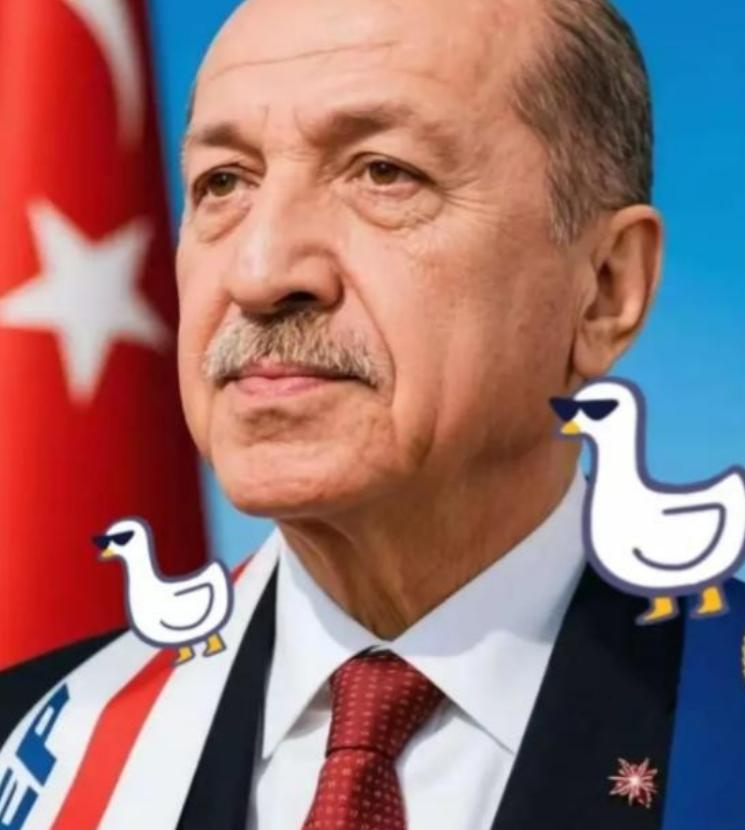 土耳其这次可真算盘打得响，以为重施故伎，就能像20多年前卡着海峡要价那样，让中国