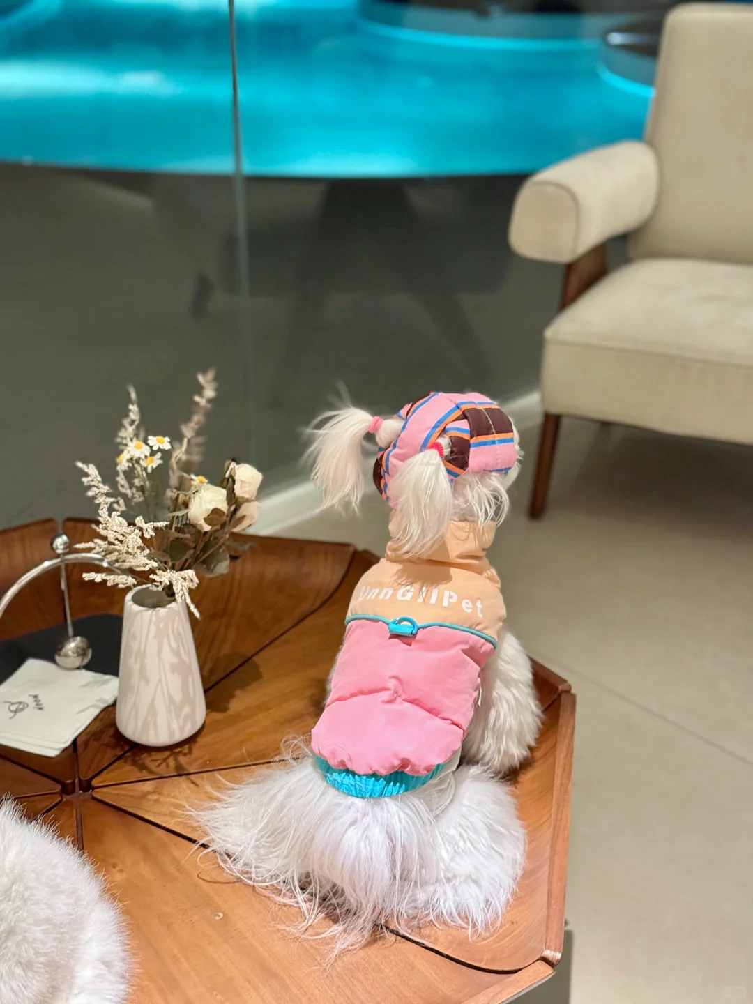 让我康康你的出行搭子