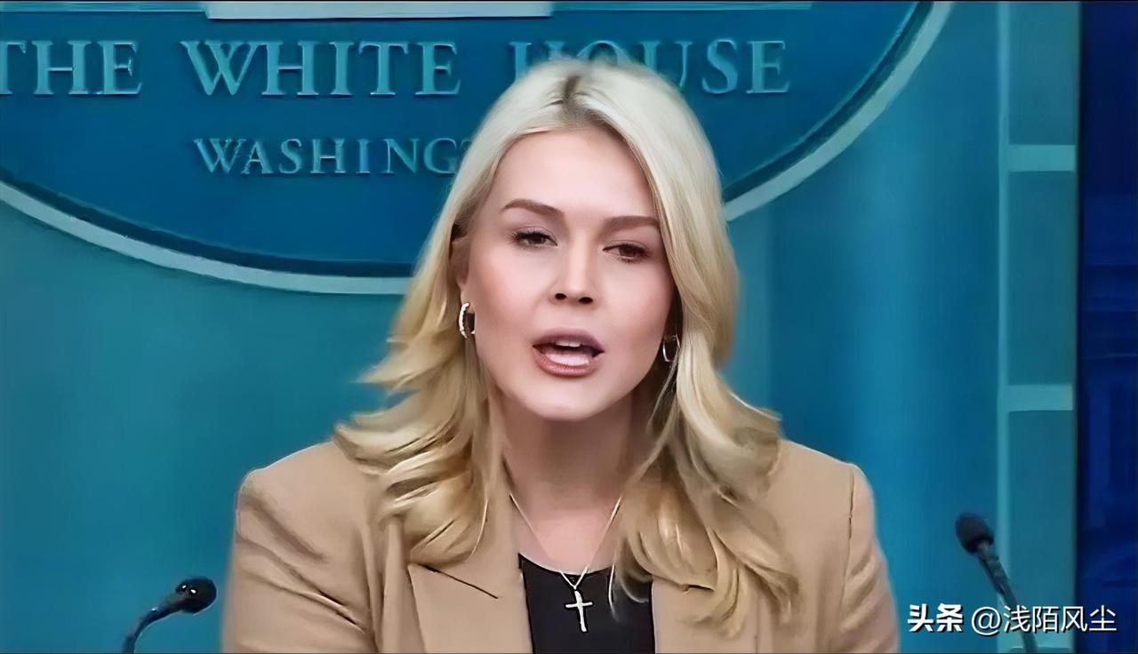 卡罗琳:“总统及其团队已向伊朗政权表明，如果杀戮继续，将产生严重后果，而总统收到