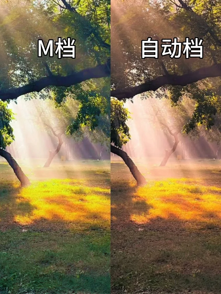当我学会了m档📸