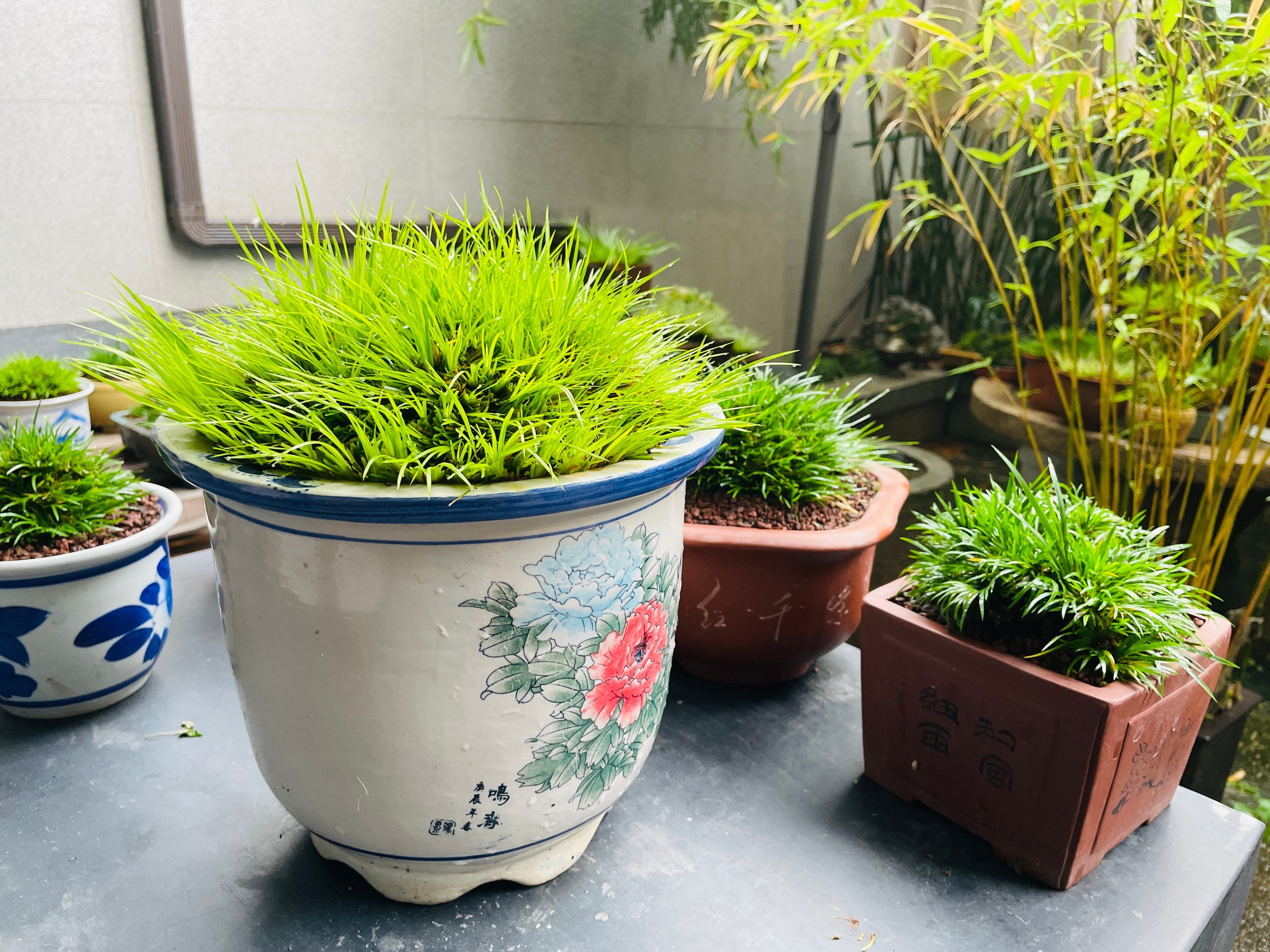 睡前一脖：我以为别人尊重我，是因为我很优秀，后来才明白，别人尊重我，是因为别人很
