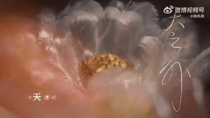 薛凯琪新歌封面是自己肚脐眼儿薛凯琪公开新专辑第一首歌抛开精致妆造与镜头滤镜，薛凯