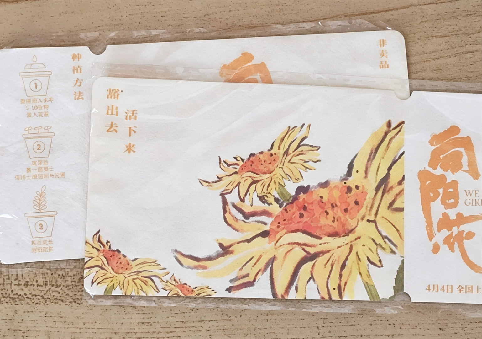 刚刚收拾东西的时候翻出来的 有没有人试过？