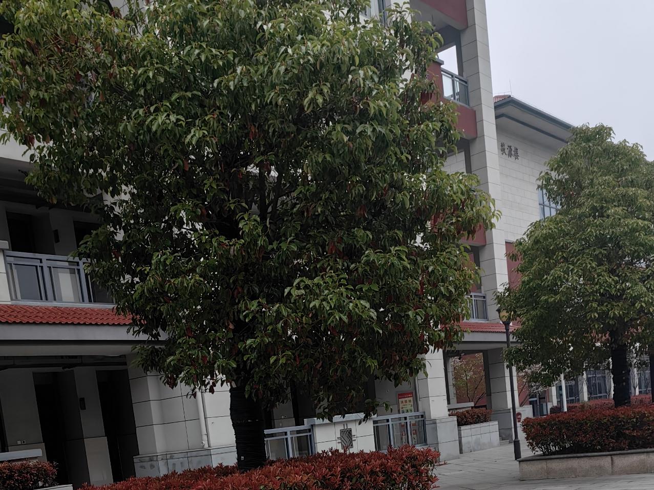 你认为教师的工资应该继续提高吗现在的工资水平已经接近公务员了，当然随着时间的推移