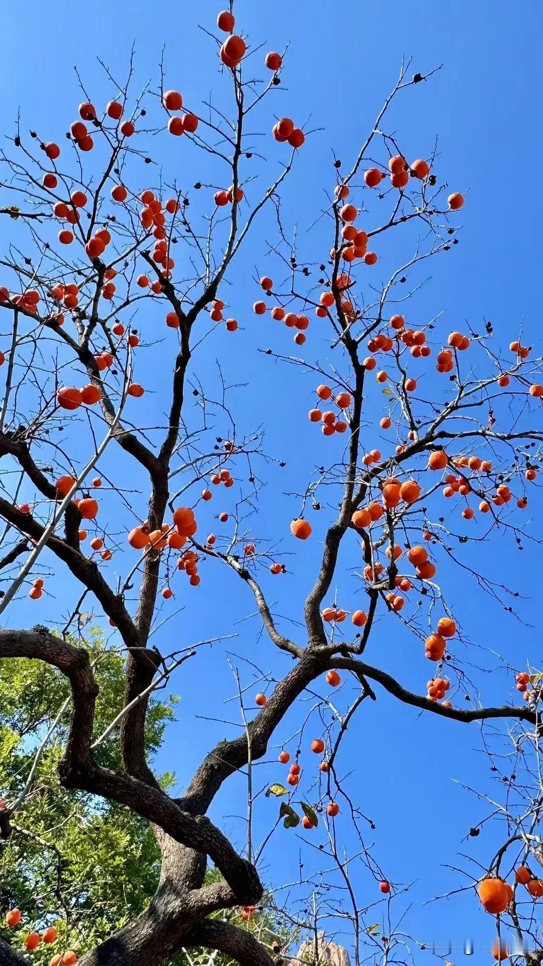 冬日运势签我领到了冬日运势签：时来运转，否极泰来，戳这里👉🏻快来领取冬日运势