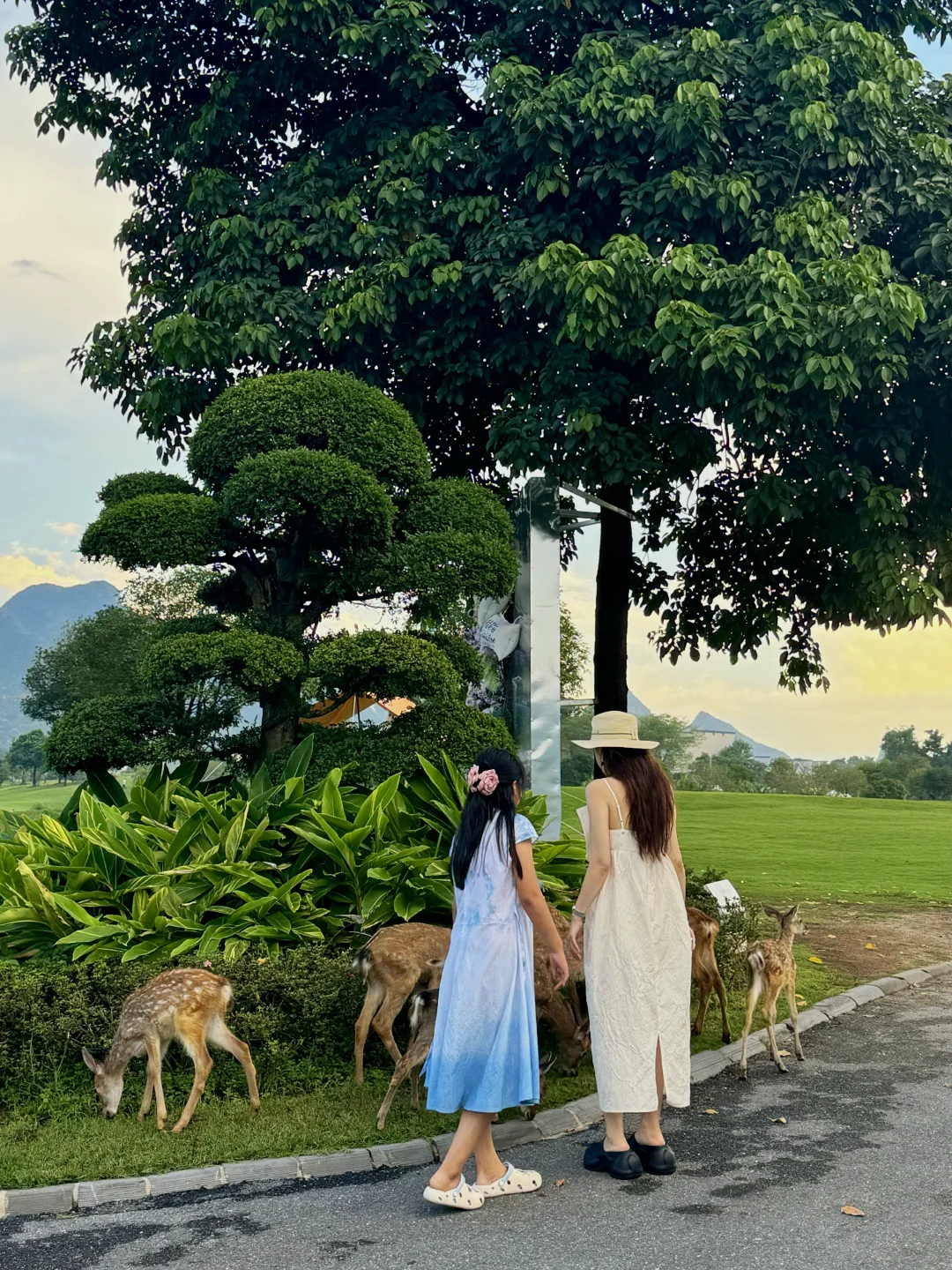 桂林live🏞️桂海晴岚又拍出了人生照片 美疯