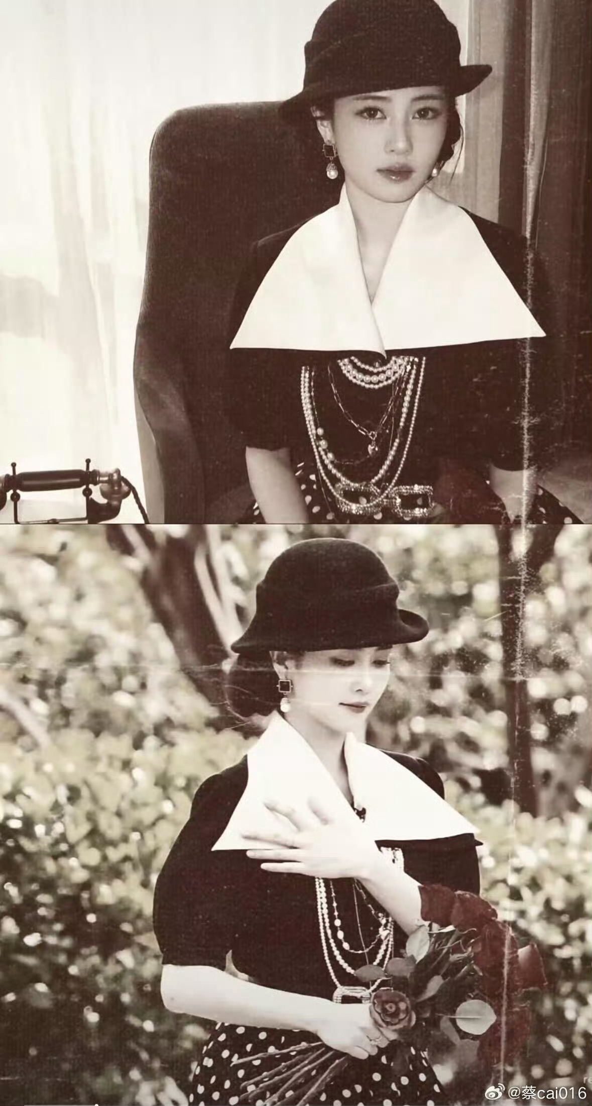 白鹿新剧开机大吉！陈哲远关注白鹿