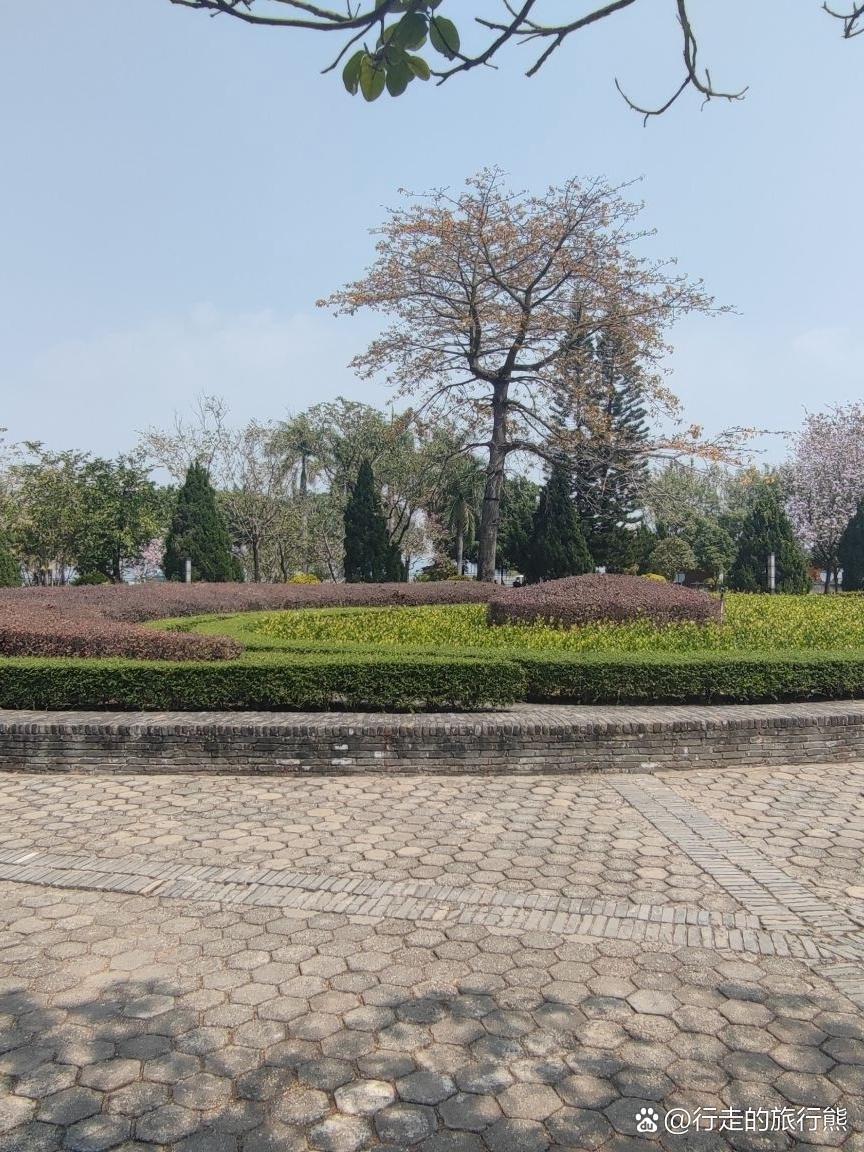 🌼春日漫跑指南｜私藏八卦花坛路线

在钢筋水泥的城市里，我终于找到了一片能随风