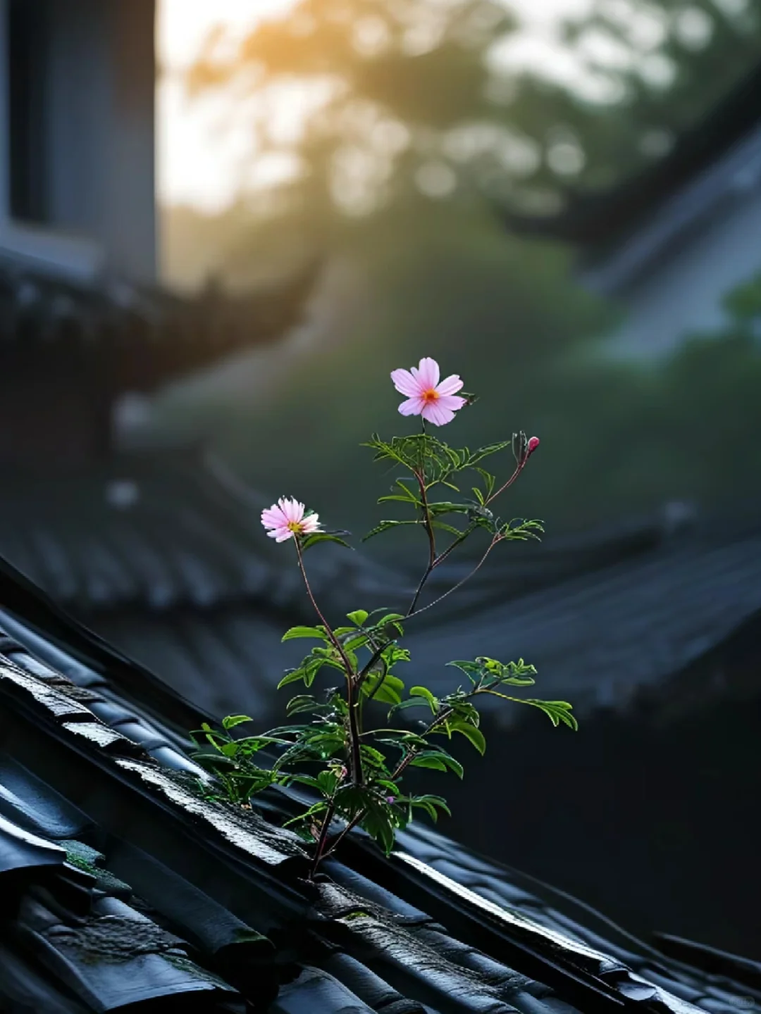 女人身上所有的焦虑和戾气，都是亏待出来的。 事实确实如此， 多少人和我...