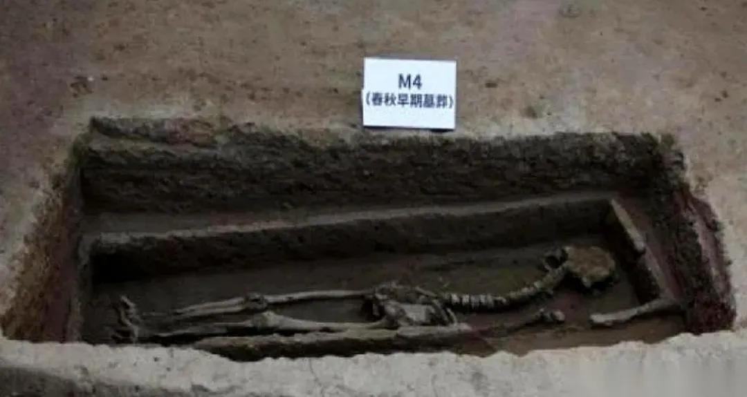 地铁挖到4200年前的墙，济南建城史一下提前了1500年。
原来大明湖边上，真埋