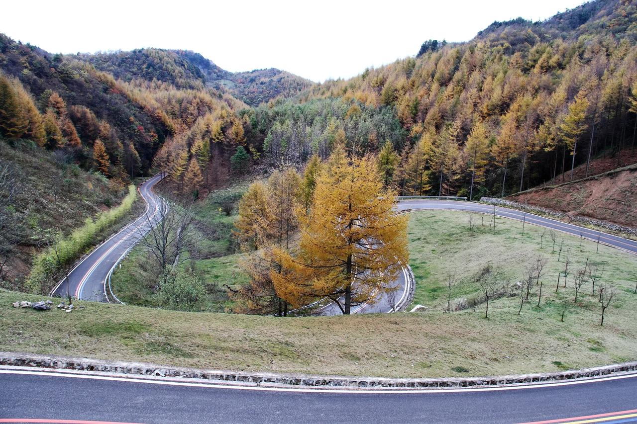 
#秋日生活打卡季#


【曾家山 鸳鸯池森林公园】20241107

听说是鸳