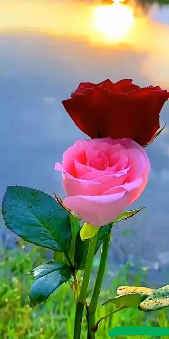 写的太出色了，骆驼与苍蝇的故事把有道理和深刻内涵完全表达出来了，引人深思！[赞]