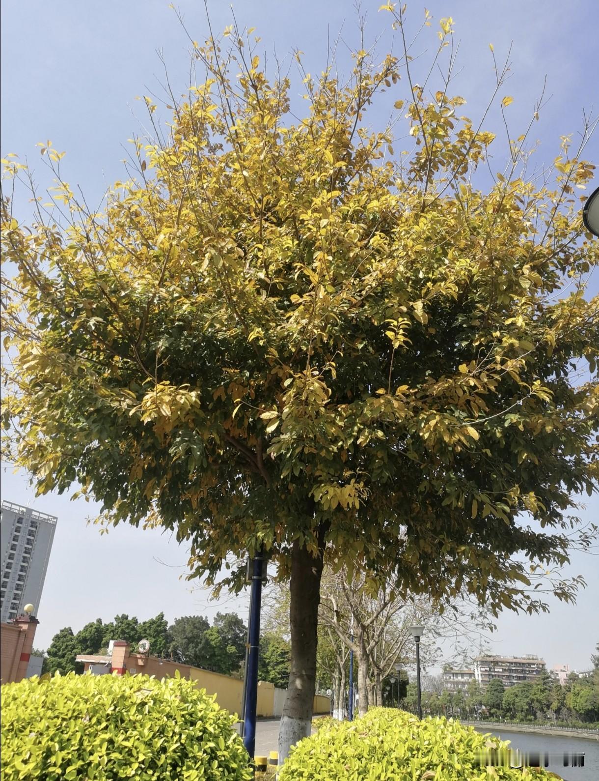 随着地产链条逐渐降温，国产AI与机器人技术初露锋芒，第四次工业革命正在由我国出发