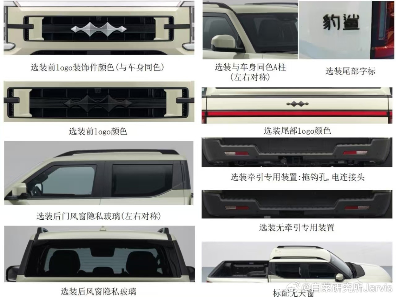shark国内这个名字--豹鲨！寓意好啊！豹鲨全球