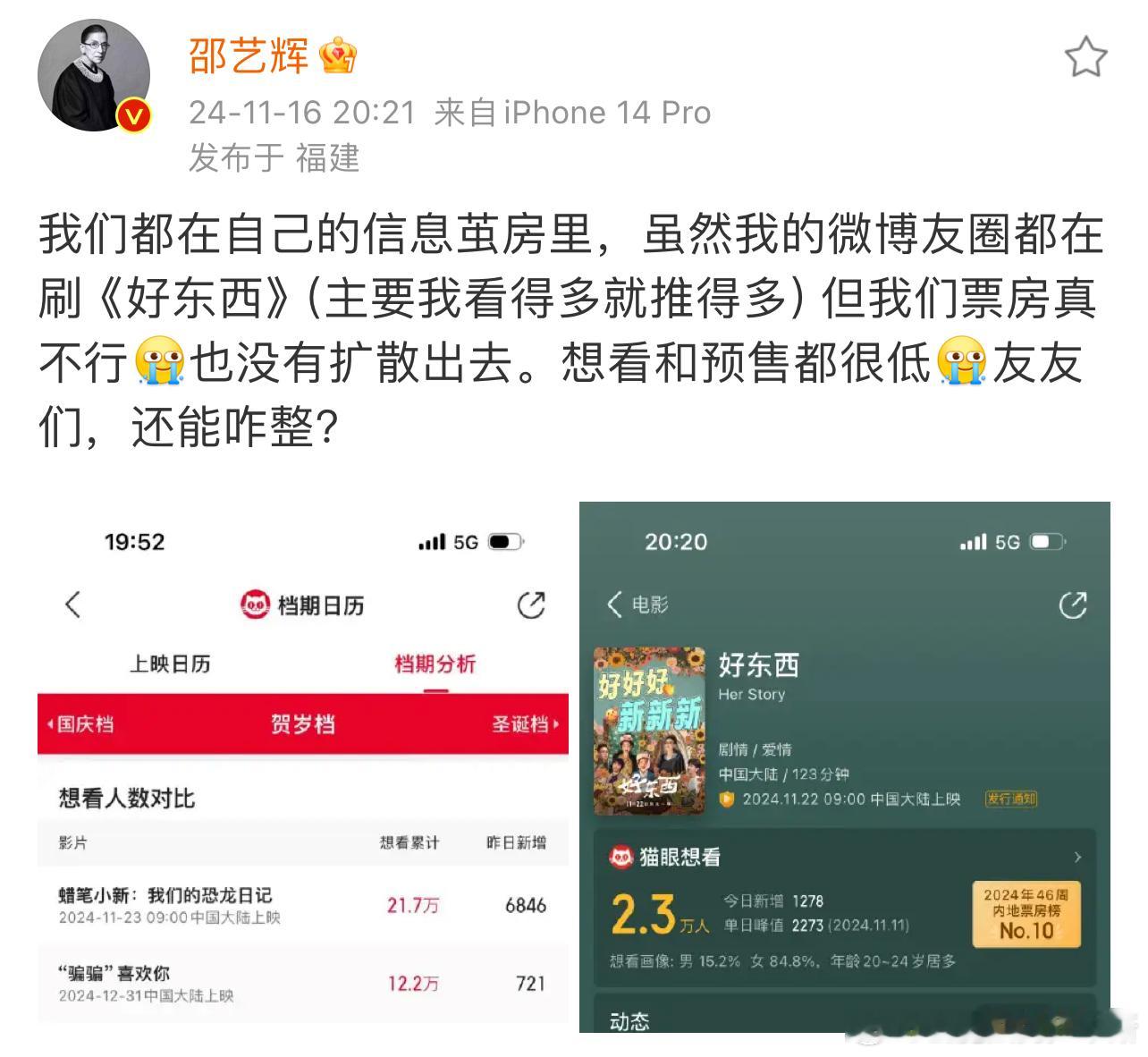 因平台上“想看人数”和预售成绩不太理想，《好东西》导演邵艺辉发文表达了自己的忧虑