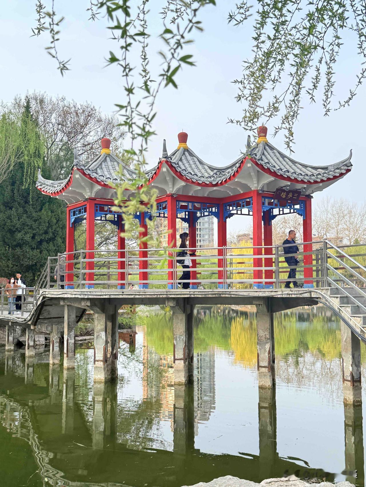 石家庄市长安公园，市中心最大最美的公园，尤其这个春暖花开的季节。记得九十年代初刚