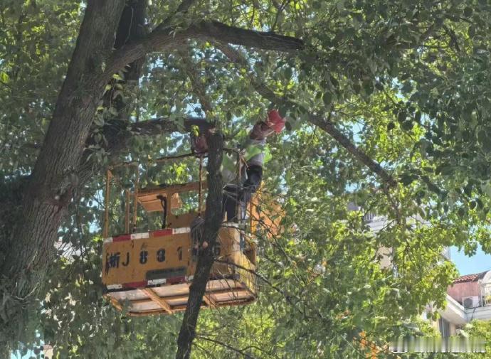 防御台风巴威临海全城同心备战临海上下一心、众志成城，用责任与坚守，全力守护人民生