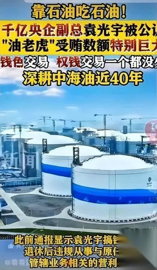 “油老虎”又翻车？

这回数字辣眼。

袁某宇，中国海油前副总，四十年老石油，一