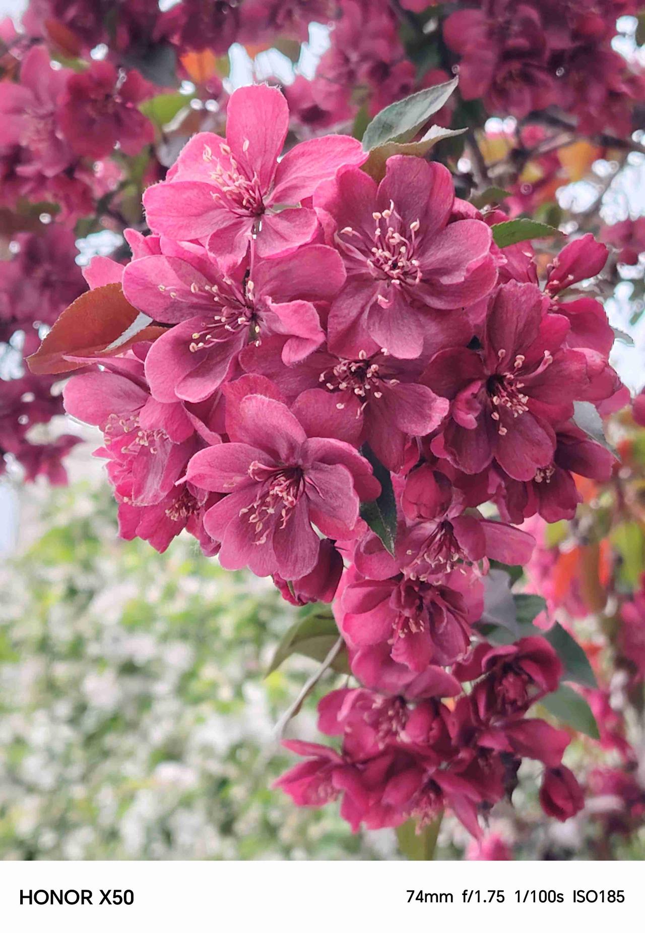 我的今日状态：🏝️旅行度假
我这里的天气：☀️晴天湛蓝色的天空澄澈明净，没有丝