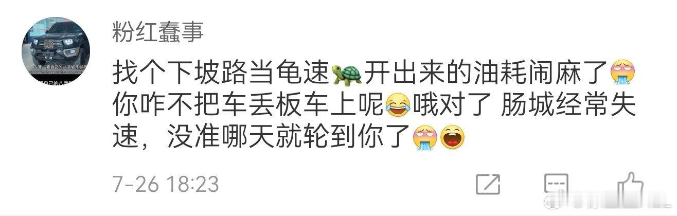 居然有人说，我的坦克300的油耗是下坡开出来的？这油表里程从出厂我就没重置过一次