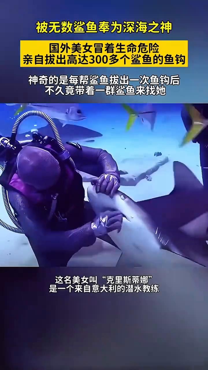 被无数鲨鱼奉为深海之神，国外美女冒着生命危险亲自拔出高达300多个鲨鱼的鱼钩。神