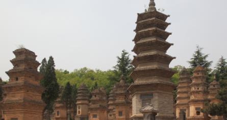 根据河南省内多所高校发布的2026年预估分数线，河南理工大学物理类预估在530到