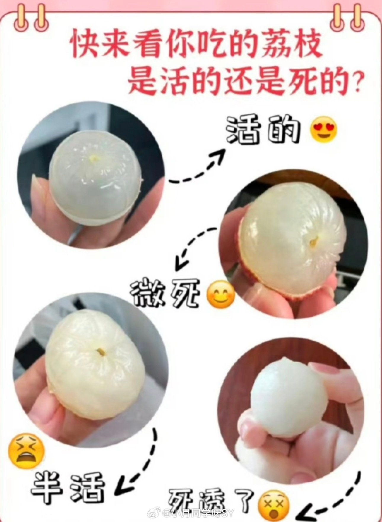 活荔枝 死荔枝我这个ip注定吃不到活的了、见都没见过