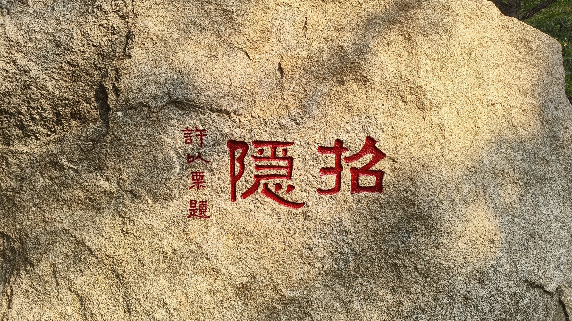 生活手记[超话]生活手记今天的朋友圈都是神兽归笼，老母亲们普大喜奔。 ​​​