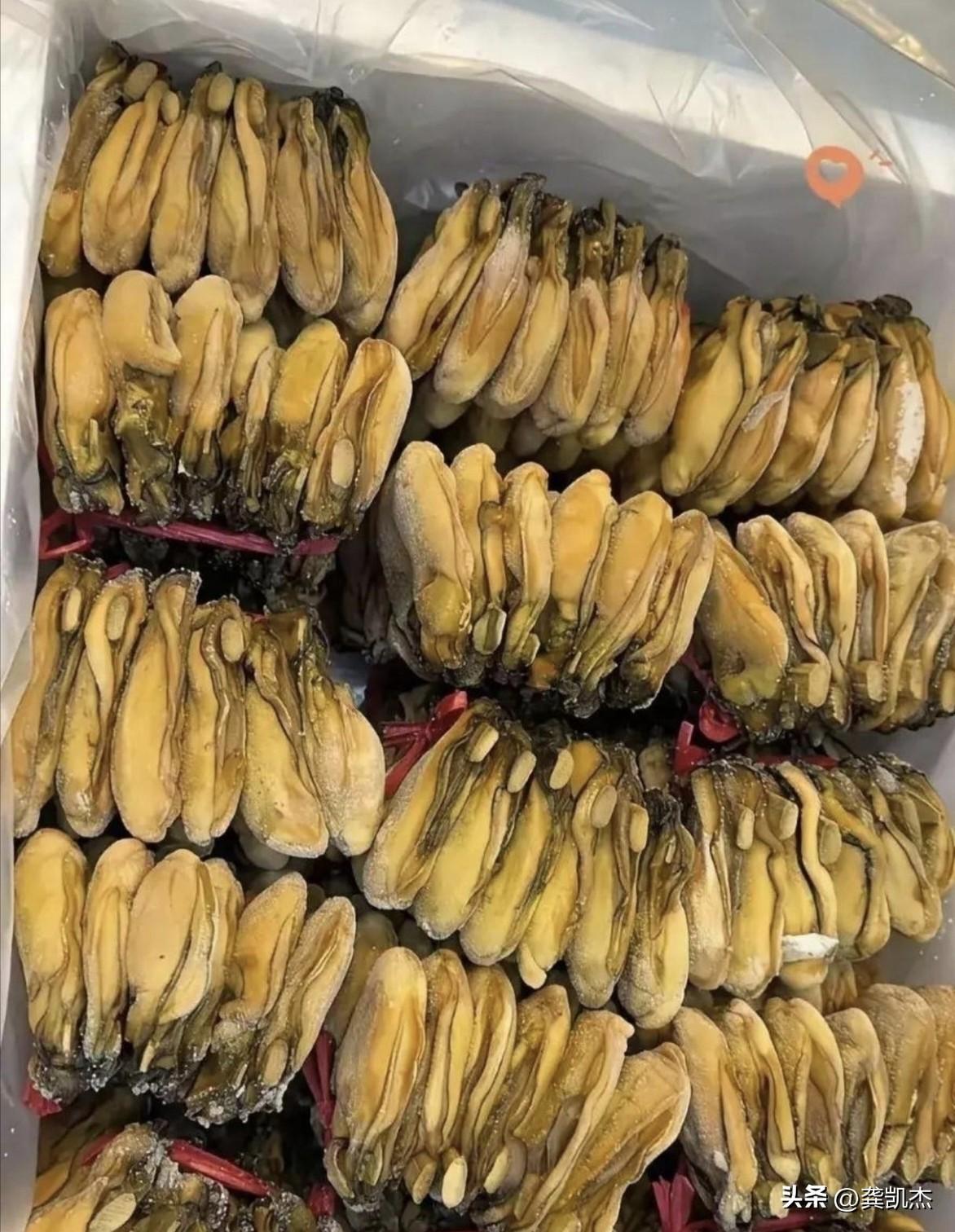 这是非常精贵的美食，没几个人吃过！