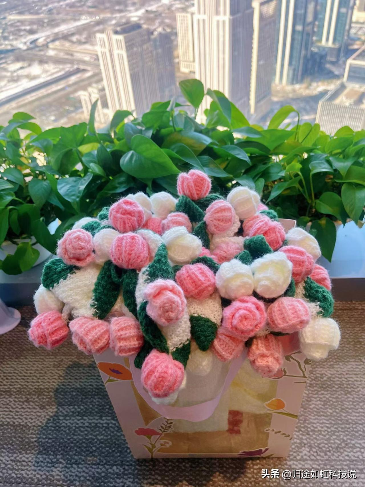 发一张你相册最近拍的花