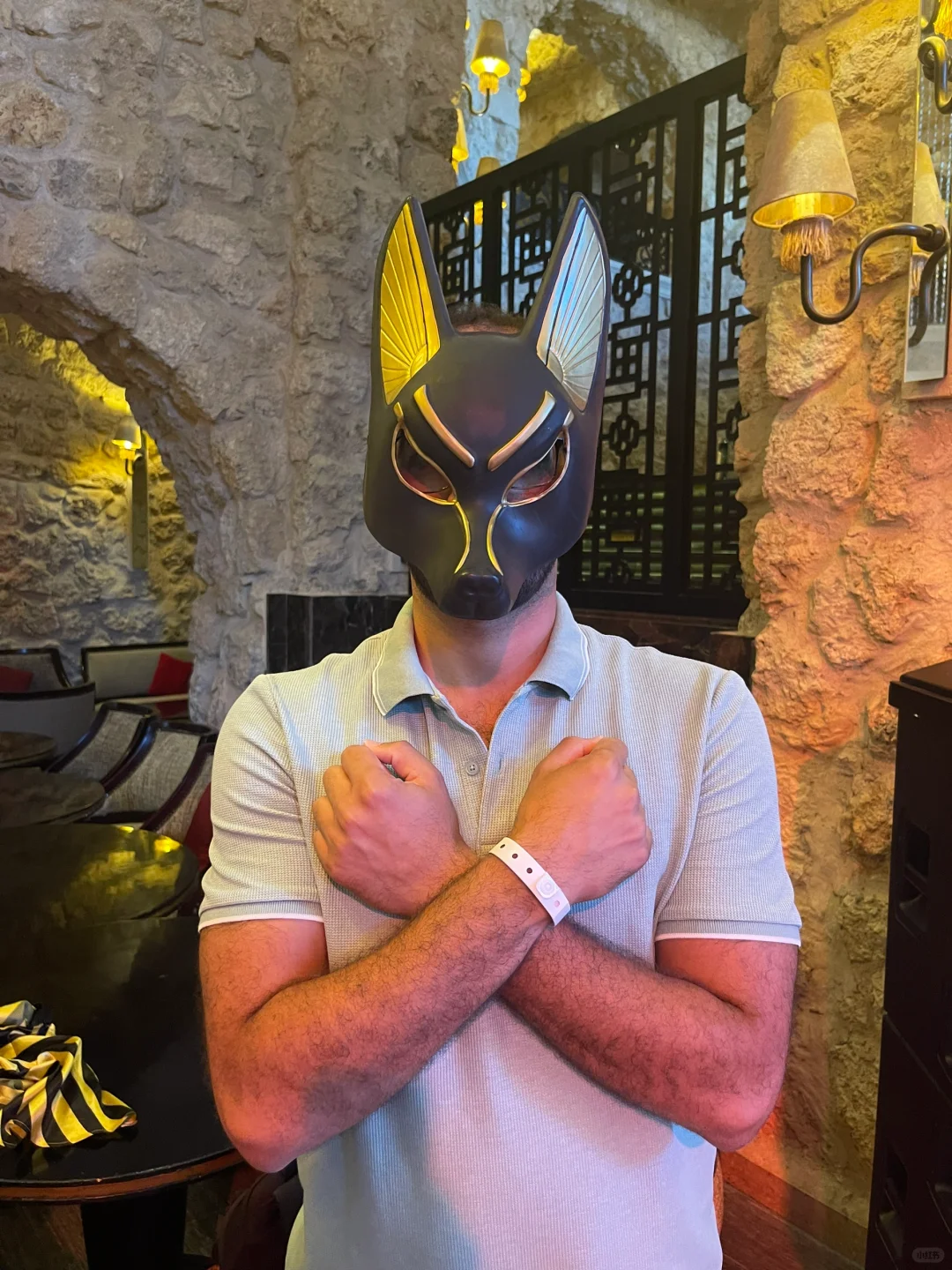 阿努比斯 Anubis