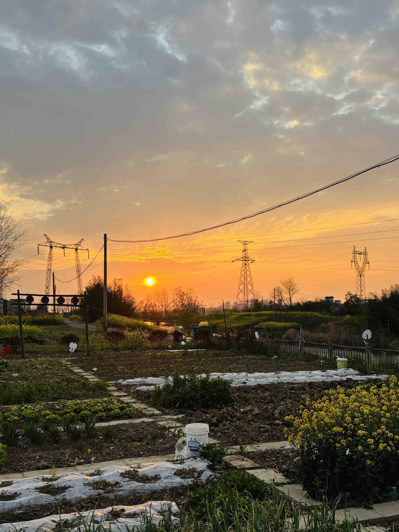 当芜湖美丽乡村田野的油菜花遇上黄昏时刻，此刻美好乡村的意义具象化了！[星星眼][