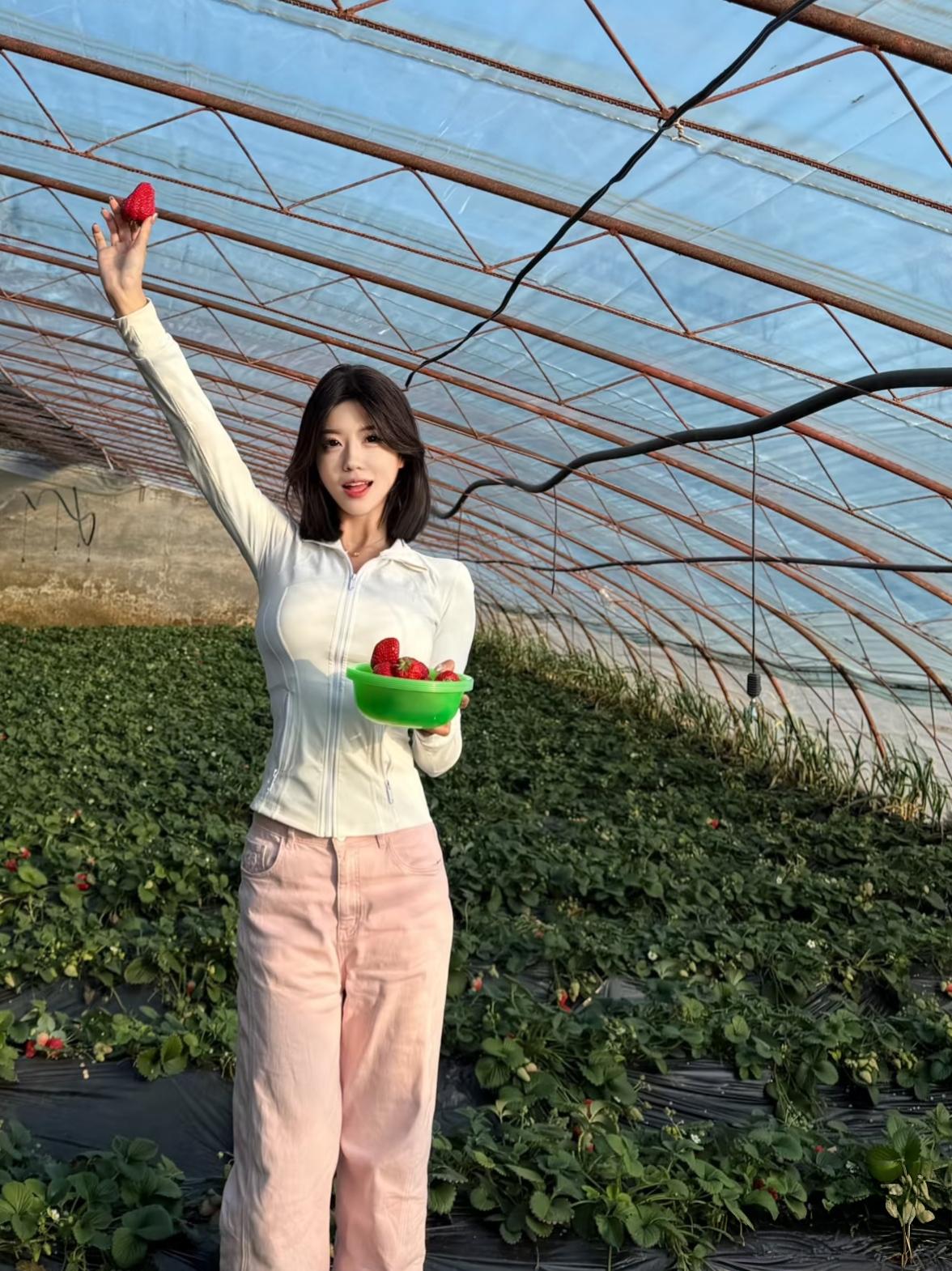 天气这么好   来摘草莓
