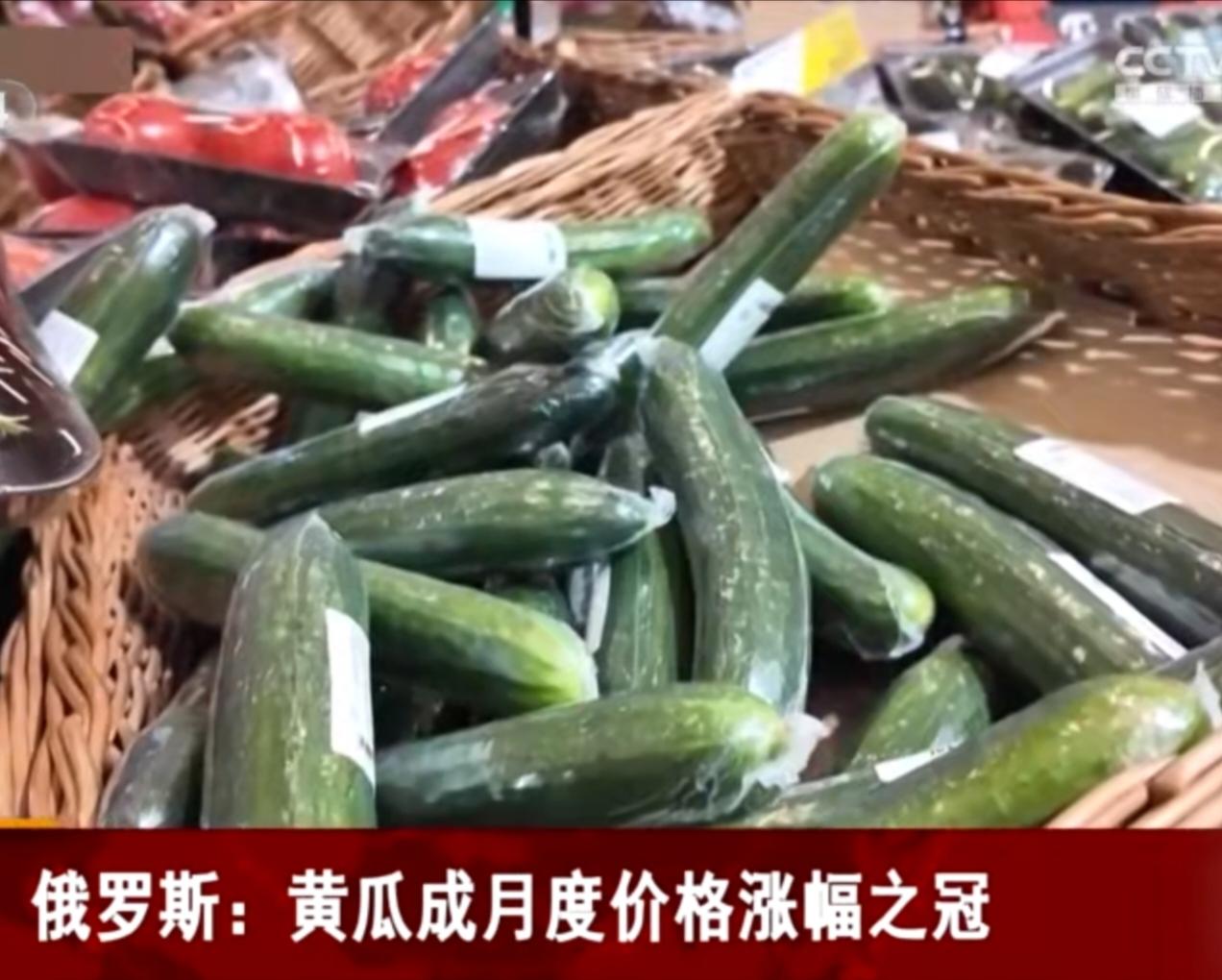 近期俄罗斯市场上，黄瓜成了月度价格涨幅最高的农产品。受天气影响，本地温室产量下滑