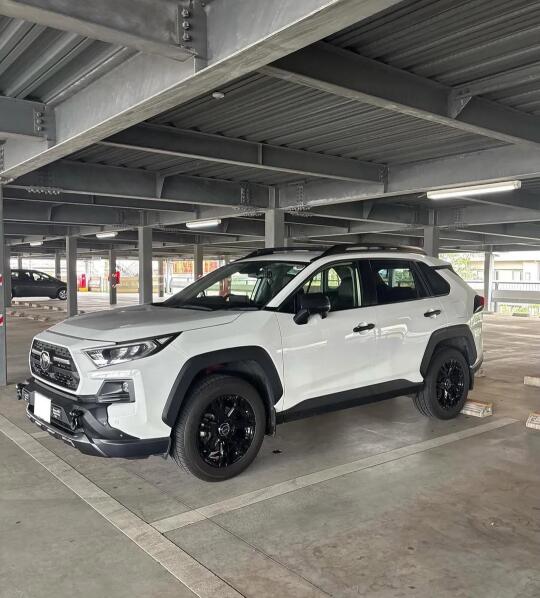 旧能源 | RAV4