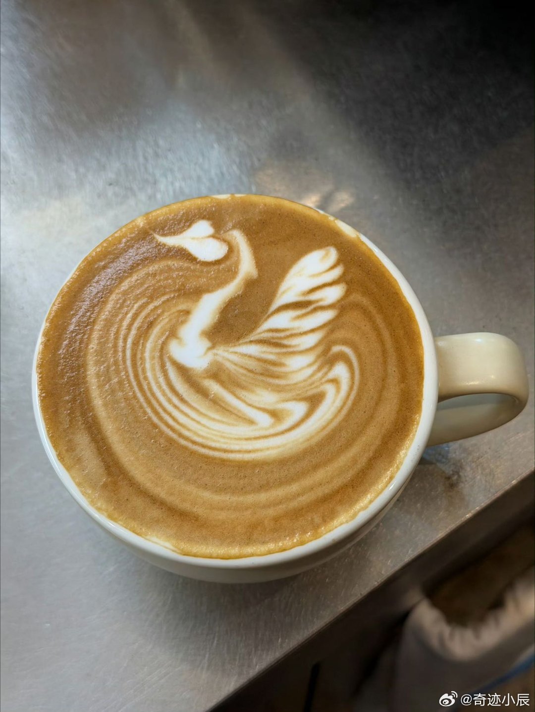 井胧说今天直接喝酒井胧家的咖啡机长毛了风华合伙人 井胧开店首日想秀拉花首秀，一年