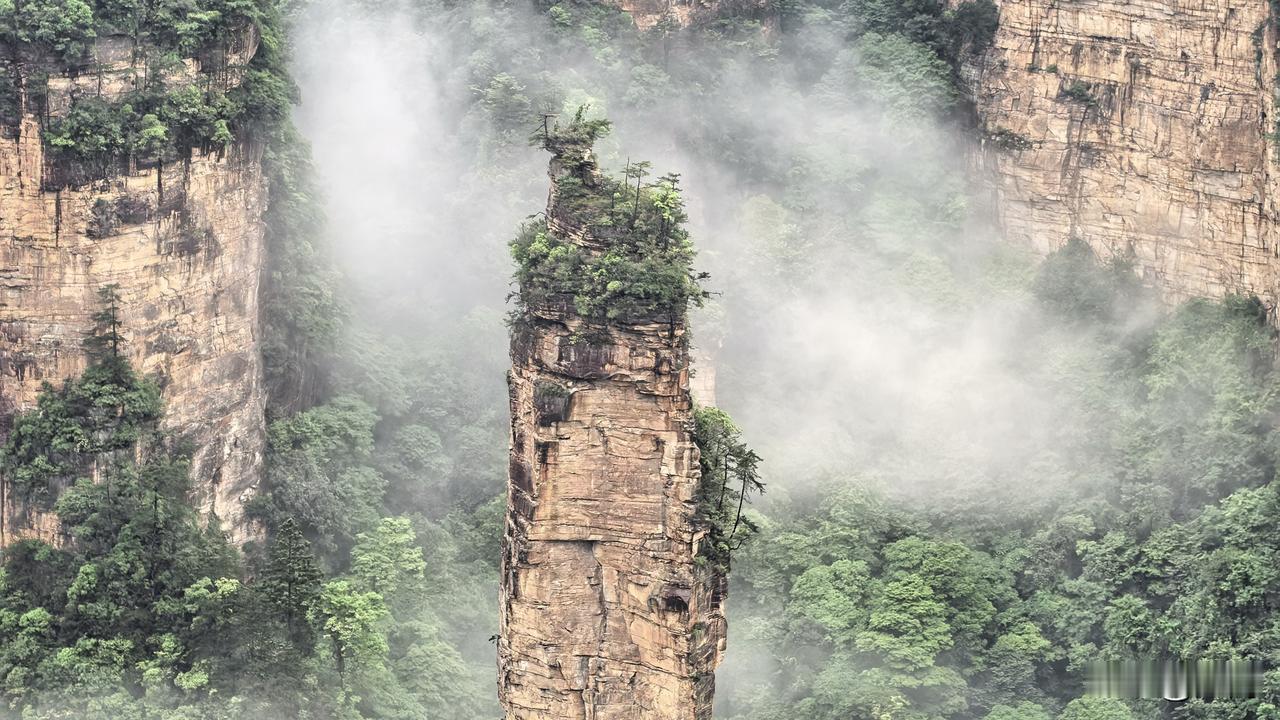 【云斋札记】苏轼说：
人皆养子望聪明，我被聪明误一生。
惟愿孩儿愚且鲁，无灾无难