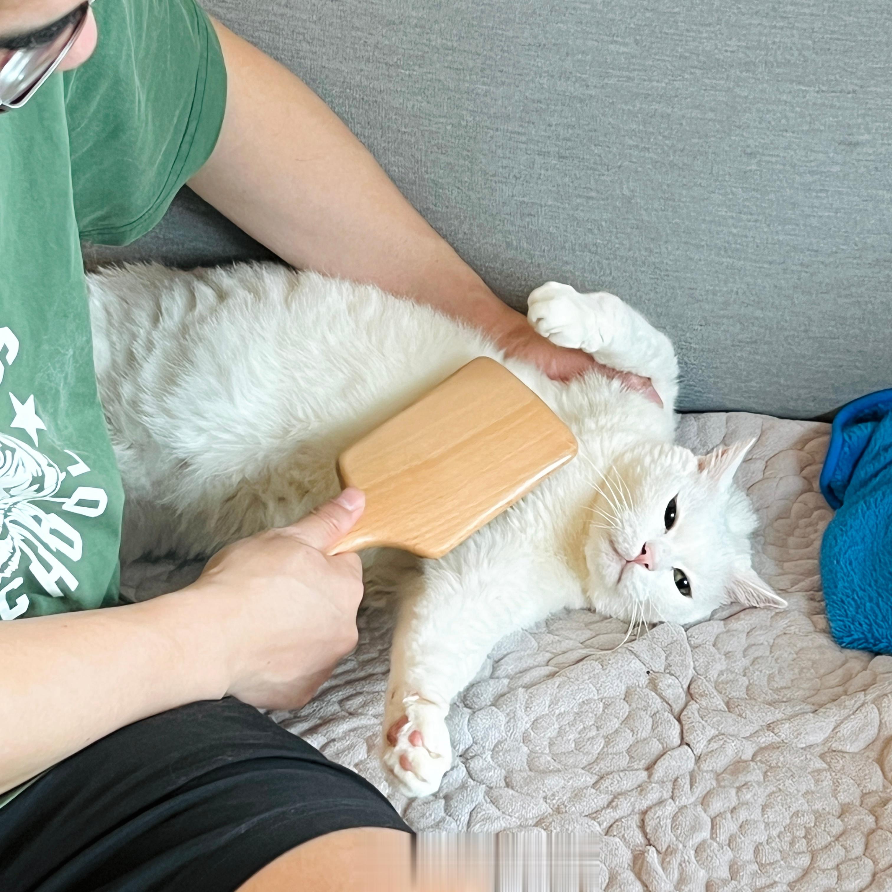 老吉被控制惹。 ​​​