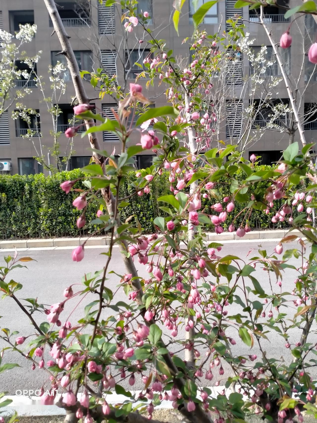 岁岁风调雨顺，请赐下联