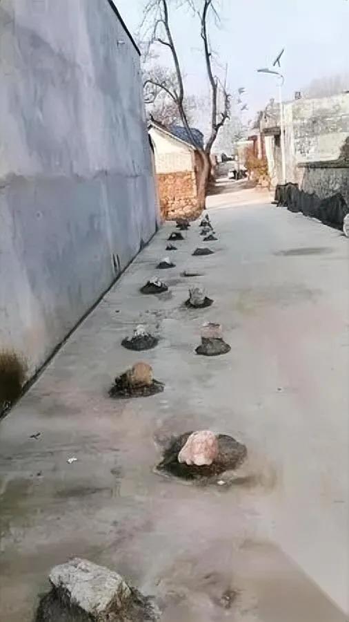 村道惊现石头阵？

村民竟称自家地想咋整

河南南阳一小村道，竟被村民用水泥浇筑