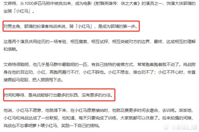 肖战能够付出最多的东西是时间和等待  骑小红马是肖战成为郭靖的第一步  肖战为了