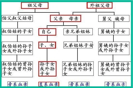 直系亲属有犯罪记录，我还能考公吗？