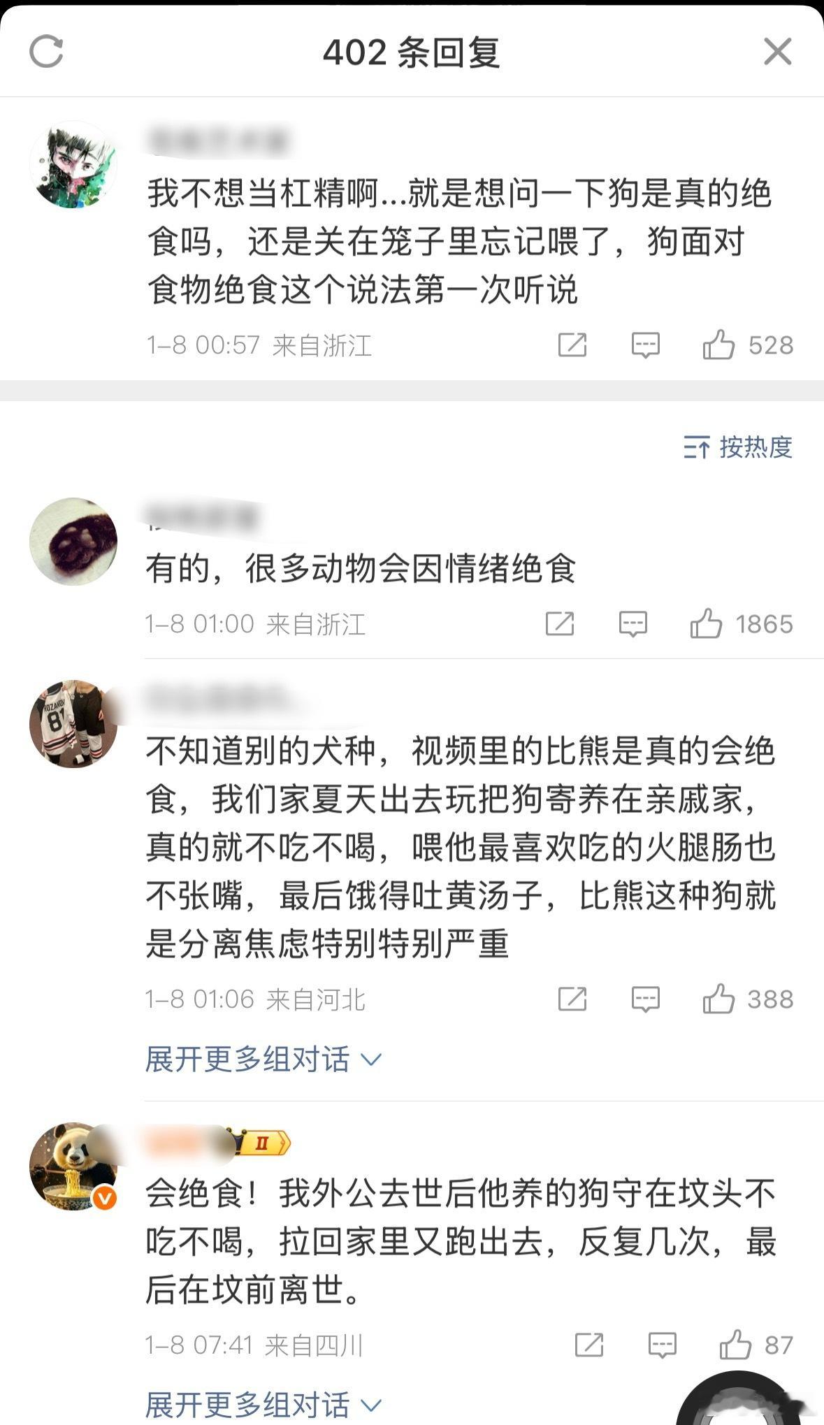 一家三口被撞身亡宠物狗绝食离世狗真的会绝食。我家狗早年因为我出门几天，以为我走了