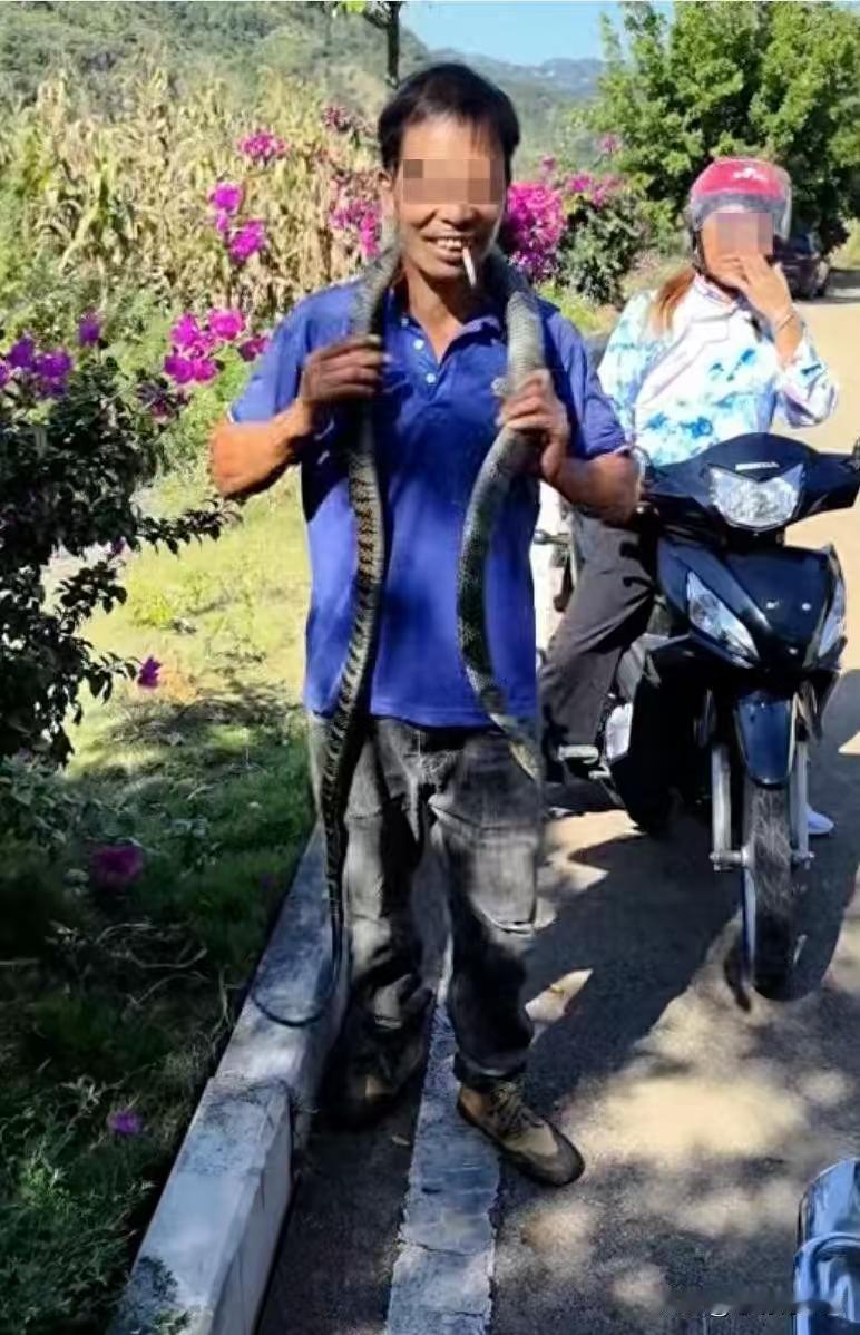贵州那个误将“眼镜王蛇”认成“乌梢蛇”的男子，
说实话，我真的没有办法同情！
