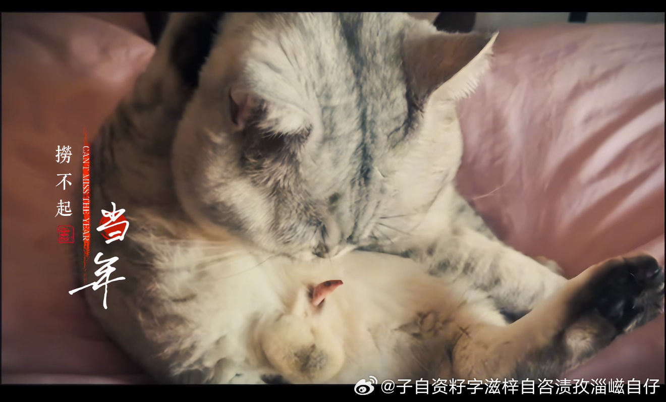 咪原来就这点吗