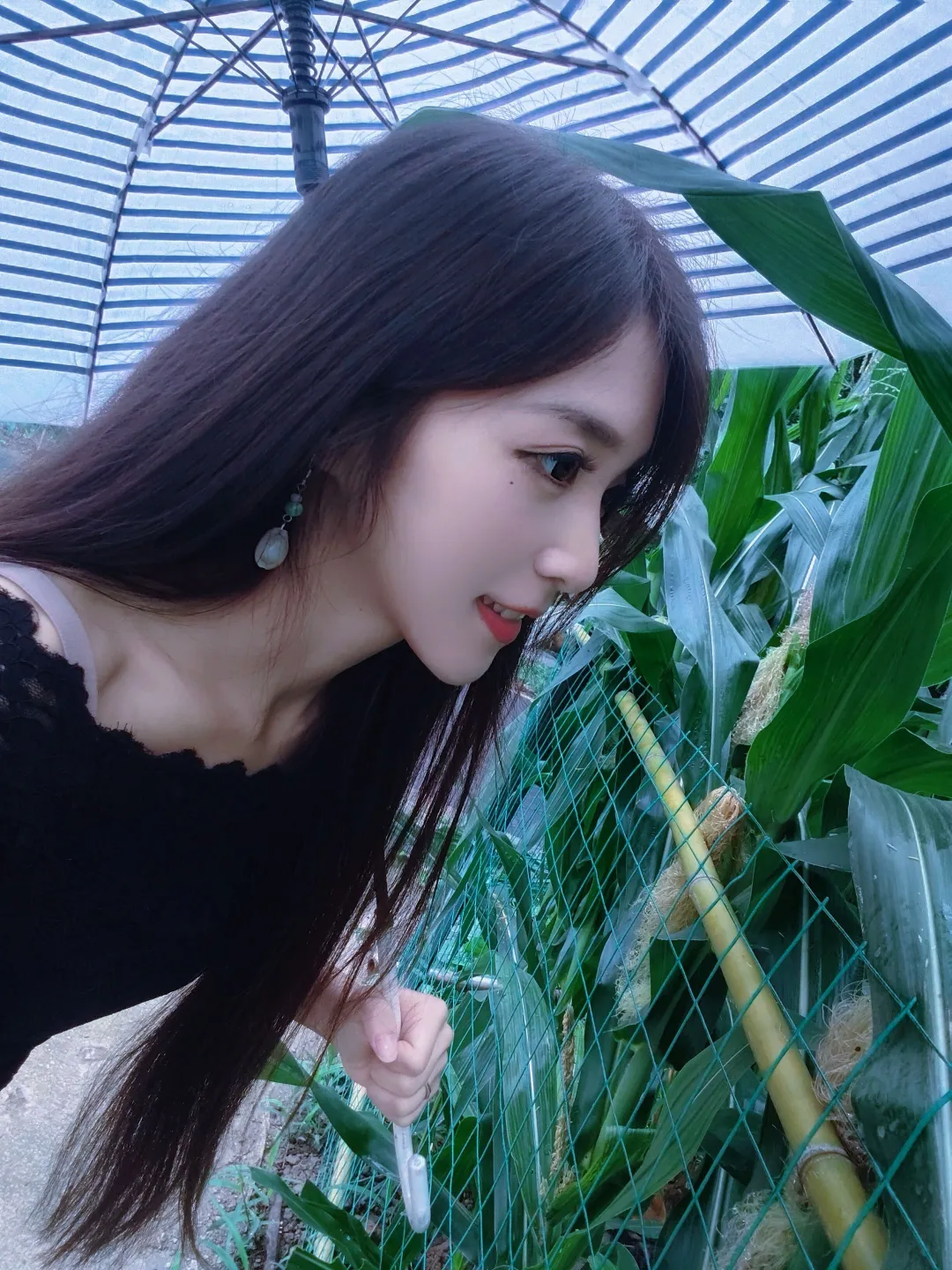 下雨天的心情