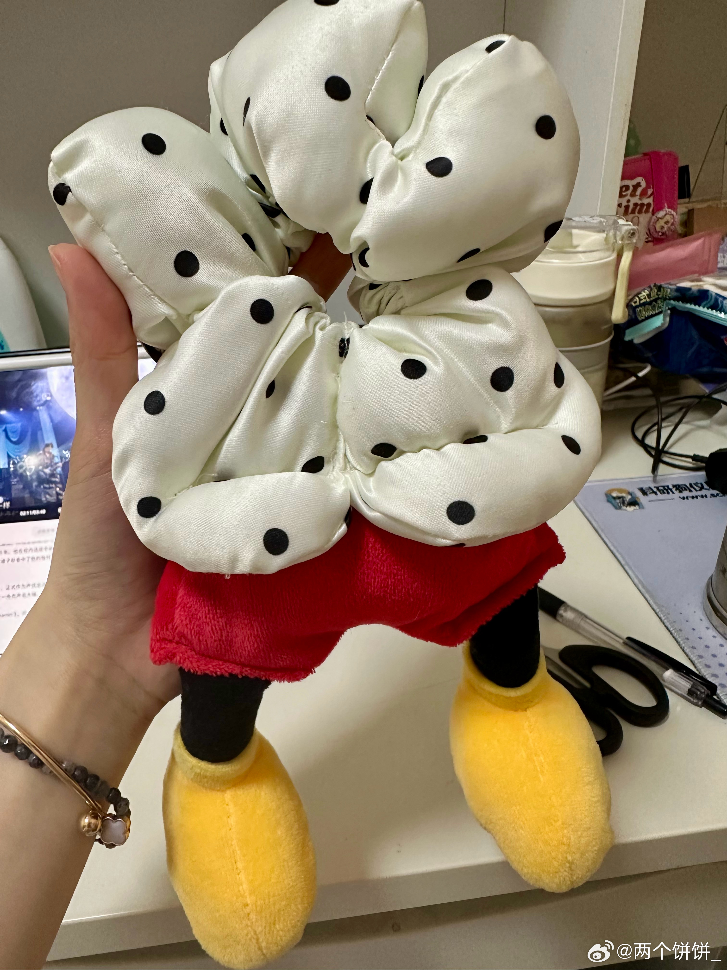姐姐买东西赠品送了个发圈 我现在有点敬畏做出这种东西的人的想象力了 迪*尼无法锁